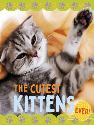 cover image of The Cutest Kittens